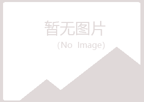 铅山县漂流会计有限公司